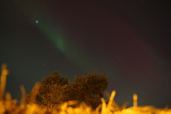 05-northern-lights