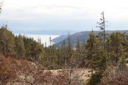 Pohled na Trondheimský fjord (spíš jeho malou část)