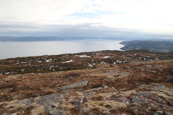 Trondheimský fjord