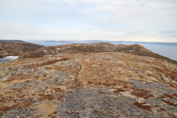 Trondheimský fjord