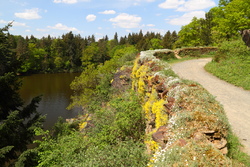 cesta nad rybníkem v zadní části parku