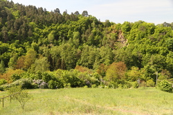 Pohled z horní části Obřanské stráně na skály za řekou.