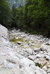 řeka Savica pod vodopádem