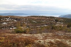 Pohled na fjord přes kopce