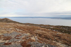 Trondheimský fjord