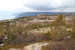 Fjord and močály